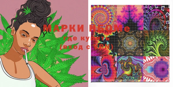 mdpv Коряжма