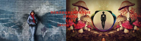кристаллы Козловка